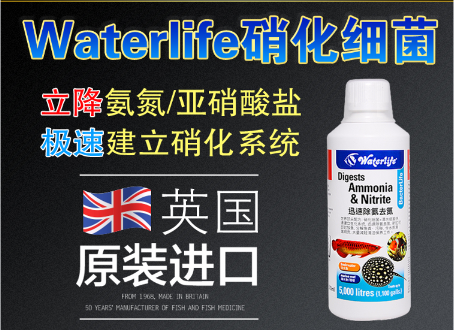 英國waterlife硝化細菌