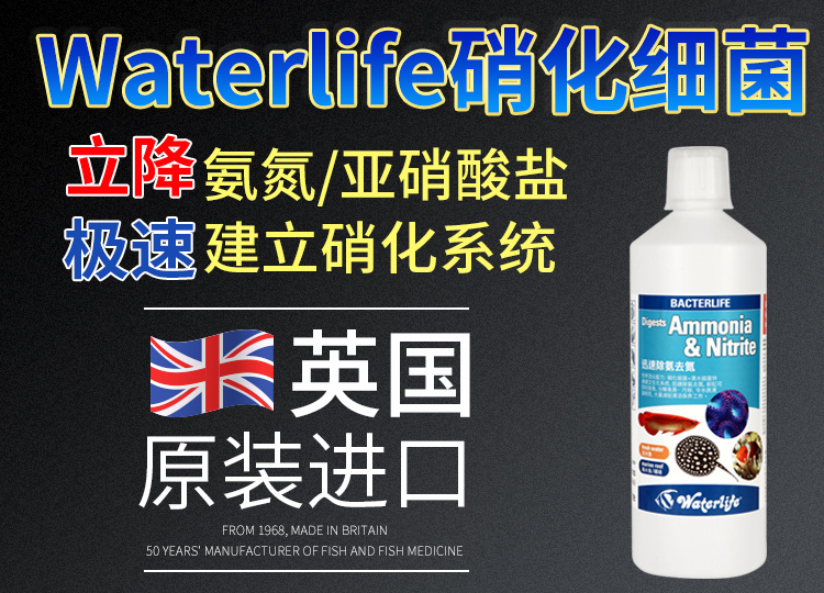 英國濃縮硝化細菌水 Bacterlife